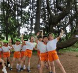 2019年度　第１６回幼稚園だより「小石川植物園」