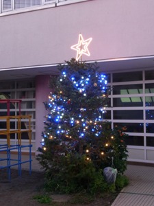 クリスマスツリー３.jpg