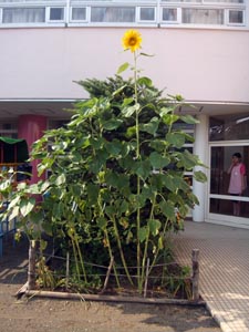 25-21-02.JPG