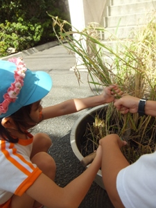 DSCF5042.JPG