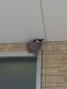 DSC_0110.jpg