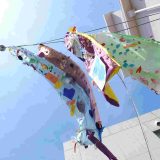 第14回幼稚園だより「こいのぼり」
